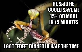 Well what do you know, I can practically taste the savings. | HE SAID HE COULD SAVE ME 15% OR MORE IN 15 MINUTES I GOT "FREE" DINNER IN HALF THE TIME | image tagged in mantis eating lizard,praying mantis,mantis,geico,funny | made w/ Imgflip meme maker