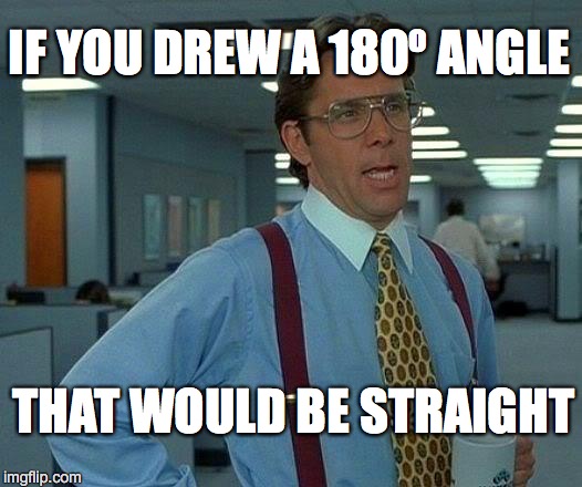 That Would Be Great Meme | IF YOU DREW A 180º ANGLE THAT WOULD BE STRAIGHT | image tagged in memes,that would be great | made w/ Imgflip meme maker