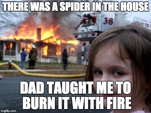 Disaster Girl | THERE WAS A SPIDER IN THE HOUSE DAD TAUGHT ME TO BURN IT WITH FIRE | image tagged in memes,disaster girl | made w/ Imgflip meme maker