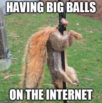 Happy Birthday Nuts | HAVING BIG BALLS ON THE INTERNET | image tagged in happy birthday nuts | made w/ Imgflip meme maker