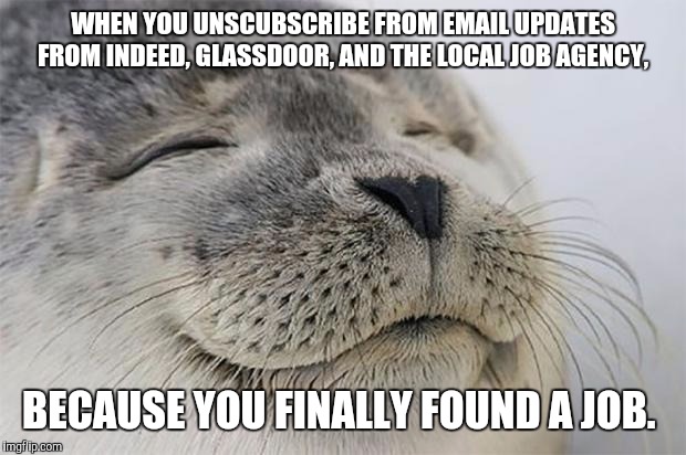 Satisfied Seal | WHEN YOU UNSCUBSCRIBE FROM EMAIL UPDATES FROM INDEED, GLASSDOOR, AND THE LOCAL JOB AGENCY, BECAUSE YOU FINALLY FOUND A JOB. | image tagged in memes,satisfied seal,AdviceAnimals | made w/ Imgflip meme maker