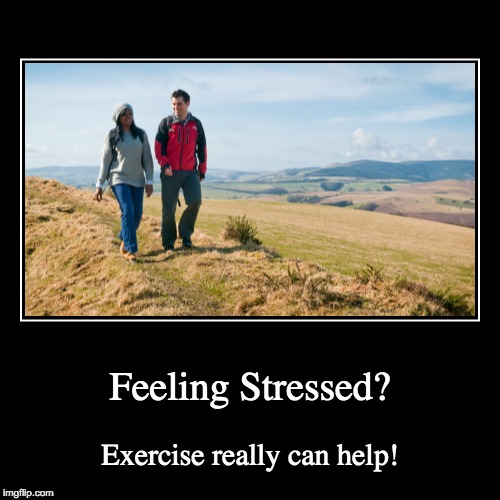 image tagged in stress,exercise,help | made w/ Imgflip demotivational maker