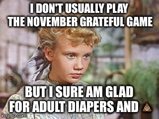 Pollyanna  | I DON'T USUALLY PLAY THE NOVEMBER GRATEFUL GAME BUT I SURE AM GLAD FOR ADULT DIAPERS AND  | image tagged in funny,grateful | made w/ Imgflip meme maker