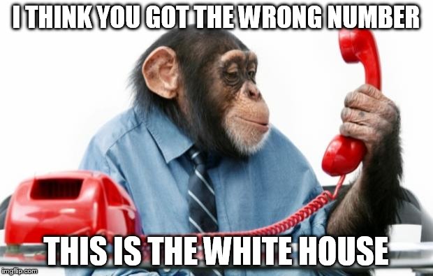 monkey manager | I THINK YOU GOT THE WRONG NUMBER THIS IS THE WHITE HOUSE | image tagged in monkey manager | made w/ Imgflip meme maker