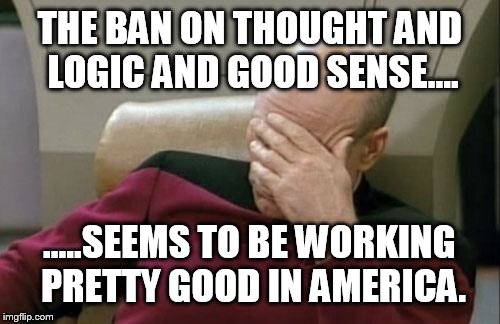 Captain Picard Facepalm Meme | THE BAN ON THOUGHT AND LOGIC AND GOOD SENSE.... .....SEEMS TO BE WORKING PRETTY GOOD IN AMERICA. | image tagged in memes,captain picard facepalm | made w/ Imgflip meme maker