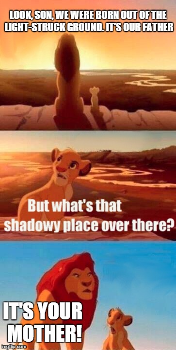Simba Shadowy Place | LOOK, SON, WE WERE BORN OUT OF THE LIGHT-STRUCK GROUND. IT'S OUR FATHER IT'S YOUR MOTHER! | image tagged in memes,simba shadowy place | made w/ Imgflip meme maker