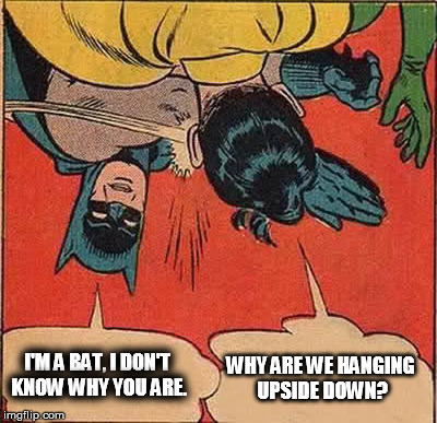 Batman Slapping Robin Meme | WHY ARE WE HANGING UPSIDE DOWN? I'M A BAT, I DON'T KNOW WHY YOU ARE. | image tagged in memes,batman slapping robin | made w/ Imgflip meme maker