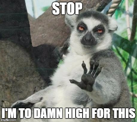 Stoner Lemur | STOP I'M TO DAMN HIGH FOR THIS | image tagged in memes,stoner lemur | made w/ Imgflip meme maker