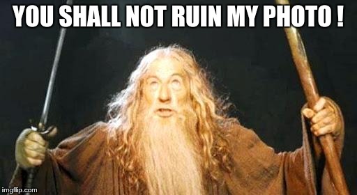 you shall not pass | YOU SHALL NOT RUIN MY PHOTO ! | image tagged in you shall not pass | made w/ Imgflip meme maker
