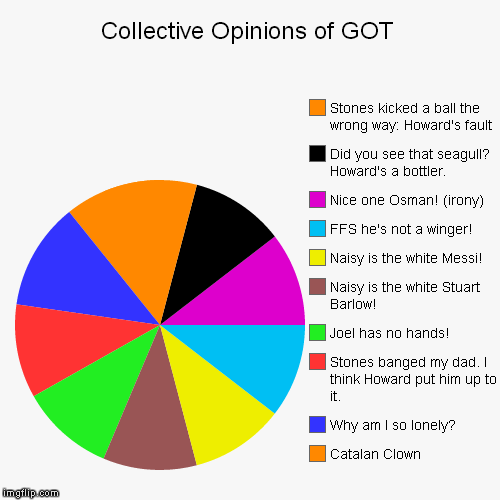 Collective Opinions of GOT | Catalan Clown, Why am I so lonely?, Stones banged my dad. I think Howard put him up to it., Joel has no hands!, | image tagged in funny,pie charts | made w/ Imgflip chart maker