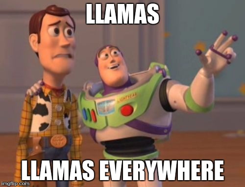 X, X Everywhere | LLAMAS LLAMAS EVERYWHERE | image tagged in memes,x x everywhere | made w/ Imgflip meme maker
