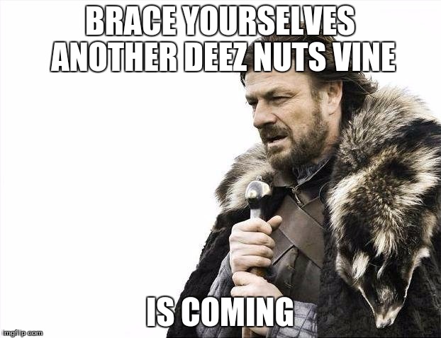Brace Yourselves X is Coming | BRACE YOURSELVES ANOTHER DEEZ NUTS VINE IS COMING | image tagged in memes,brace yourselves x is coming | made w/ Imgflip meme maker