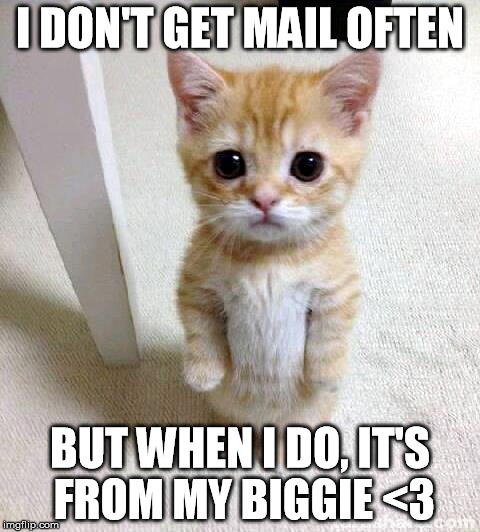 TNT | I DON'T GET MAIL OFTEN BUT WHEN I DO, IT'S FROM MY BIGGIE <3 | image tagged in memes,cute cat | made w/ Imgflip meme maker