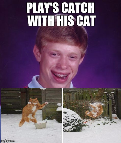 Brian's cat | PLAY'S CATCH WITH HIS CAT | image tagged in memes,bad luck brian,funny memes,oblivious hot girl,funny | made w/ Imgflip meme maker