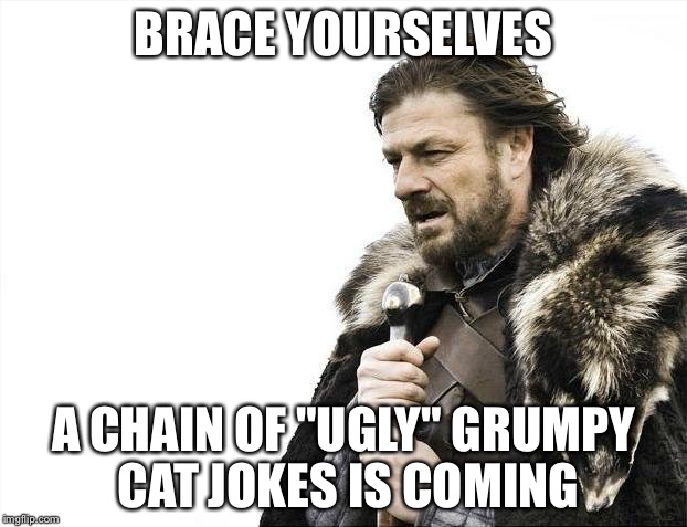 Brace Yourselves X is Coming Meme | BRACE YOURSELVES A CHAIN OF "UGLY" GRUMPY CAT JOKES IS COMING | image tagged in memes,brace yourselves x is coming | made w/ Imgflip meme maker