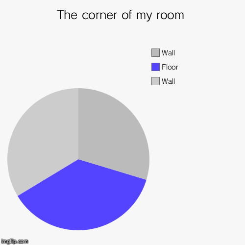 The corner of my room | Wall, Floor, Wall | image tagged in funny,pie charts | made w/ Imgflip chart maker