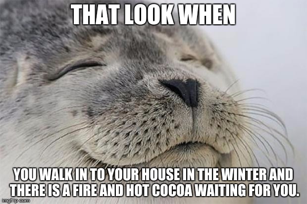 Satisfied Seal | THAT LOOK WHEN YOU WALK IN TO YOUR HOUSE IN THE WINTER AND THERE IS A FIRE AND HOT COCOA WAITING FOR YOU. | image tagged in memes,satisfied seal | made w/ Imgflip meme maker