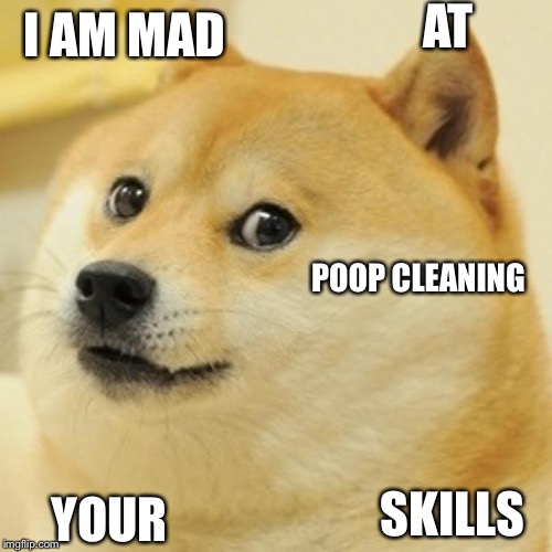 Doge | I AM MAD AT YOUR POOP CLEANING SKILLS | image tagged in memes,doge | made w/ Imgflip meme maker