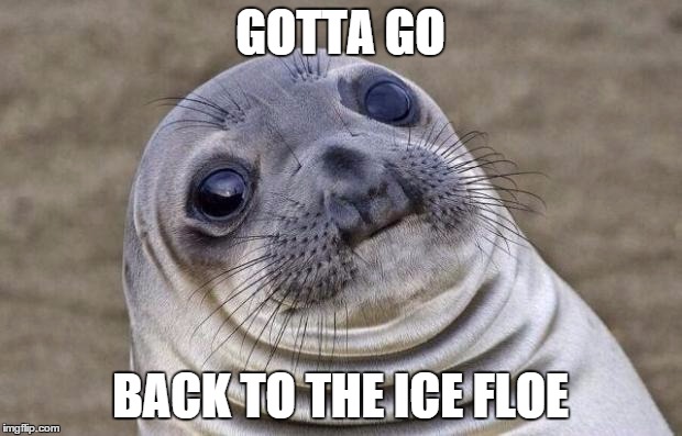 Awkward Moment Sealion Meme | GOTTA GO BACK TO THE ICE FLOE | image tagged in memes,awkward moment sealion | made w/ Imgflip meme maker