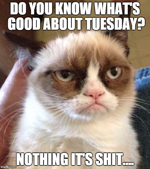 Grumpy Cat Reverse | DO YOU KNOW WHAT'S GOOD ABOUT TUESDAY? NOTHING IT'S SHIT.... | image tagged in memes,grumpy cat reverse,grumpy cat | made w/ Imgflip meme maker