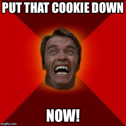 Arnold meme | PUT THAT COOKIE DOWN NOW! | image tagged in arnold meme,funny,memes | made w/ Imgflip meme maker