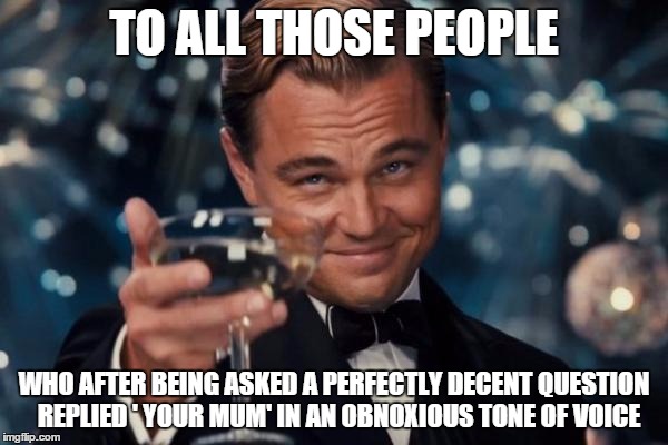 Leonardo Dicaprio Cheers | TO ALL THOSE PEOPLE WHO AFTER BEING ASKED A PERFECTLY DECENT QUESTION  REPLIED ' YOUR MUM' IN AN OBNOXIOUS TONE OF VOICE | image tagged in memes,leonardo dicaprio cheers | made w/ Imgflip meme maker