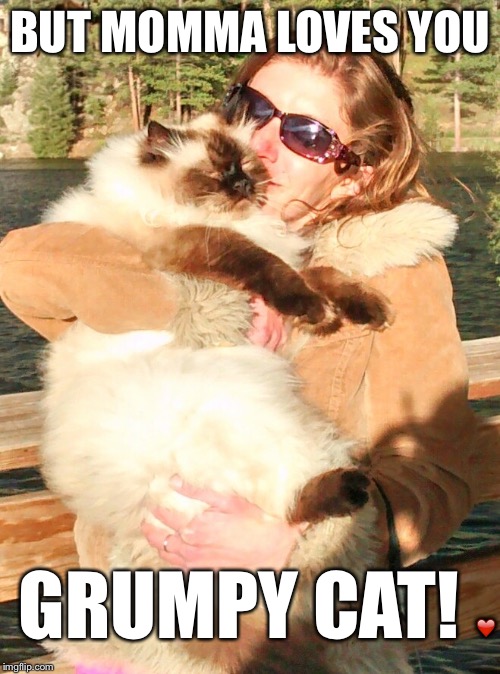 Momma loves Grumpy! | BUT MOMMA LOVES YOU GRUMPY CAT! ❤️ | image tagged in grumpy cat,memes,love,justjeff | made w/ Imgflip meme maker