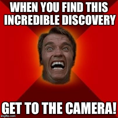 Arnold meme | WHEN YOU FIND THIS INCREDIBLE DISCOVERY GET TO THE CAMERA! | image tagged in arnold meme | made w/ Imgflip meme maker