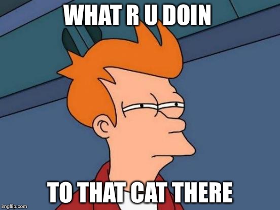 Futurama Fry Meme | WHAT R U DOIN TO THAT CAT THERE | image tagged in memes,futurama fry | made w/ Imgflip meme maker