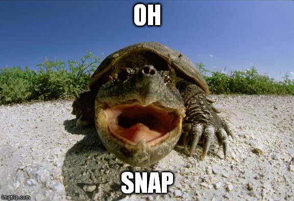 Oh Snap | OH SNAP | image tagged in oh snap | made w/ Imgflip meme maker