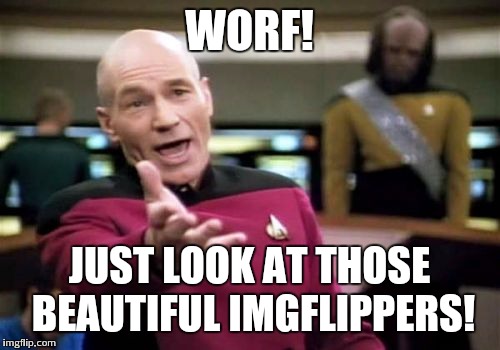 Picard Wtf | WORF! JUST LOOK AT THOSE BEAUTIFUL IMGFLIPPERS! | image tagged in memes,picard wtf | made w/ Imgflip meme maker