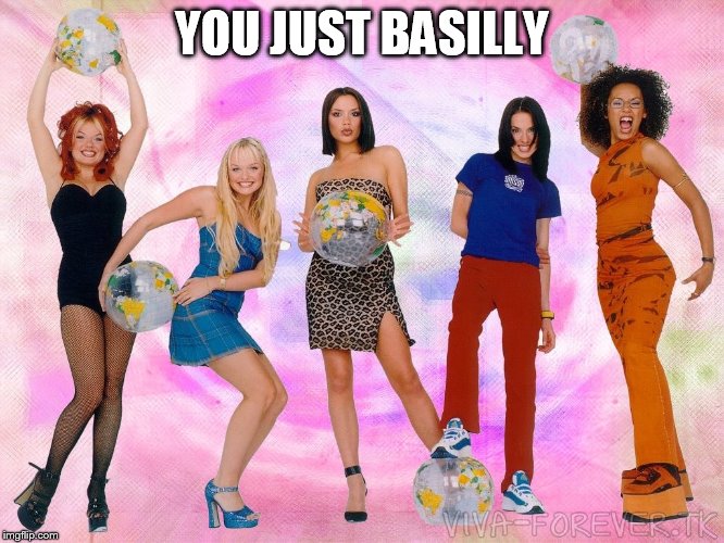 YOU JUST BASILLY | made w/ Imgflip meme maker