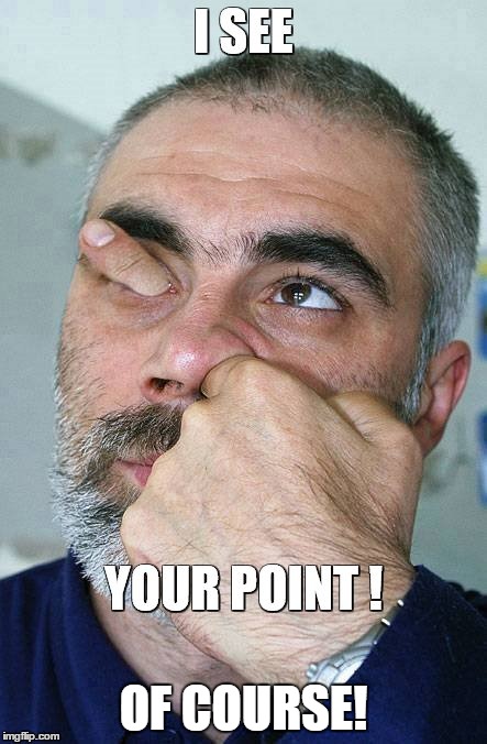 I see your point | OF COURSE! | image tagged in i see your point | made w/ Imgflip meme maker