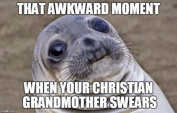 Awkward Moment Sealion Meme | THAT AWKWARD MOMENT WHEN YOUR CHRISTIAN GRANDMOTHER SWEARS | image tagged in memes,awkward moment sealion | made w/ Imgflip meme maker