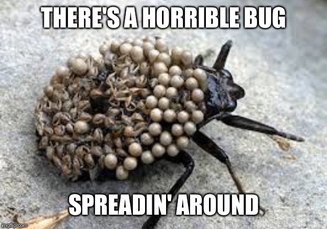 THERE'S A HORRIBLE BUG SPREADIN' AROUND | image tagged in kristina blumberg | made w/ Imgflip meme maker