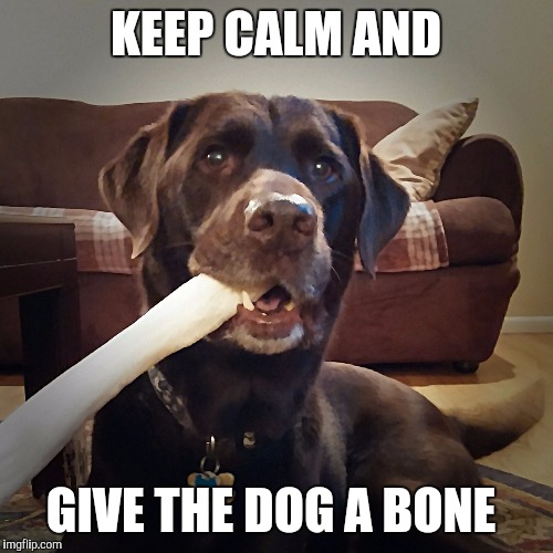 KEEP CALM AND GIVE THE DOG A BONE | image tagged in chuckie the chocolate lab | made w/ Imgflip meme maker