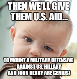 Skeptical Baby Meme | THEN WE'LL GIVE THEM U.S. AID... TO MOUNT A MILITARY OFFENSIVE AGAINST US. HILLARY AND JOHN KERRY ARE GENIUS! | image tagged in memes,skeptical baby | made w/ Imgflip meme maker