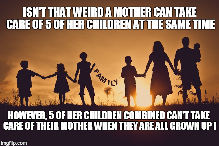 Family | ISN'T THAT WEIRD A MOTHER CAN TAKE CARE OF 5 OF HER CHILDREN AT THE SAME TIME HOWEVER, 5 OF HER CHILDREN COMBINED CAN'T TAKE CARE OF THEIR M | image tagged in family | made w/ Imgflip meme maker