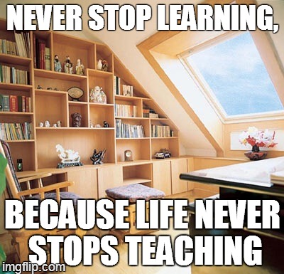 NEVER STOP LEARNING, BECAUSE LIFE NEVER STOPS TEACHING | image tagged in bookshelf | made w/ Imgflip meme maker