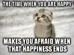 Sad Cat | THE TIME WHEN YOU ARE HAPPY MAKES YOU AFRAID WHEN THAT HAPPINESS ENDS | image tagged in memes,sad cat | made w/ Imgflip meme maker