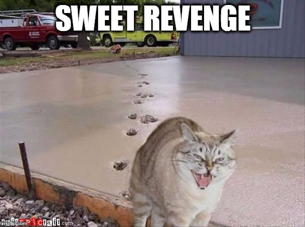 SWEET REVENGE | made w/ Imgflip meme maker