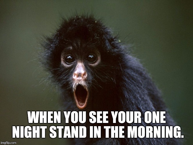 One night stand | WHEN YOU SEE YOUR ONE NIGHT STAND IN THE MORNING. | image tagged in troll face | made w/ Imgflip meme maker
