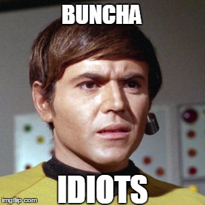 BUNCHA IDIOTS | made w/ Imgflip meme maker