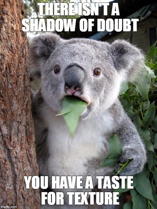 Surprised Koala Meme | THERE ISN'T A SHADOW OF DOUBT YOU HAVE A TASTE FOR TEXTURE | image tagged in memes,surprised koala | made w/ Imgflip meme maker
