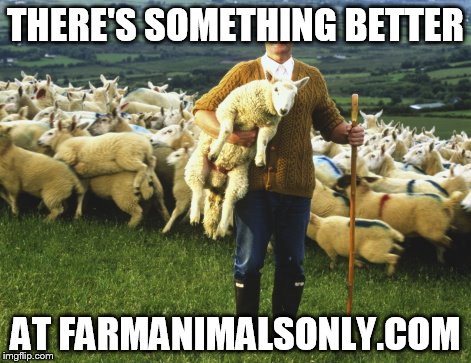 THERE'S SOMETHING BETTER AT FARMANIMALSONLY.COM | made w/ Imgflip meme maker