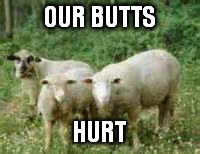 OUR BUTTS HURT | made w/ Imgflip meme maker