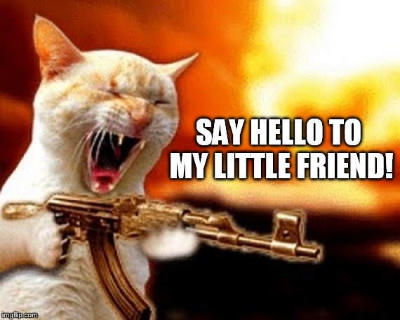 machine gun cat | SAY HELLO TO MY LITTLE FRIEND! | image tagged in machine gun cat | made w/ Imgflip meme maker