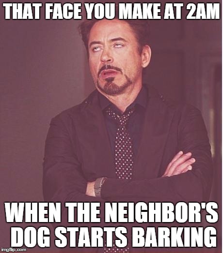 Surprisingly... many of us are trying to sleep | THAT FACE YOU MAKE AT 2AM WHEN THE NEIGHBOR'S DOG STARTS BARKING | image tagged in memes,face you make robert downey jr | made w/ Imgflip meme maker