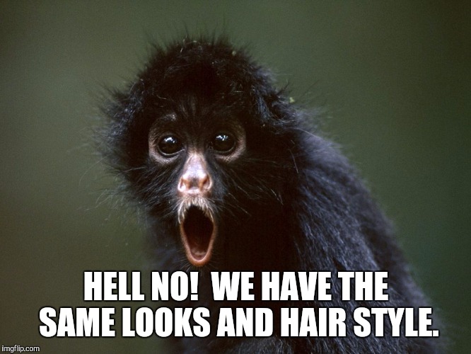 Donald Trump | HELL NO!  WE HAVE THE SAME LOOKS AND HAIR STYLE. | image tagged in ugly twins | made w/ Imgflip meme maker