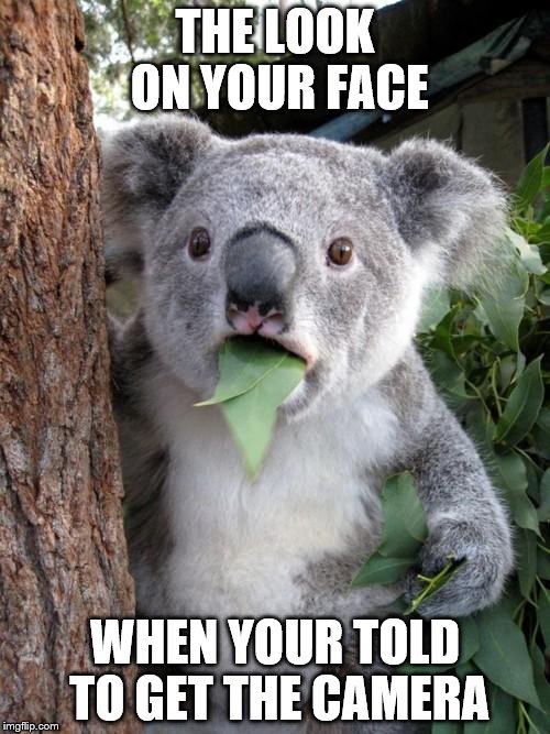 Surprised Koala | THE LOOK ON YOUR FACE WHEN YOUR TOLD TO GET THE CAMERA | image tagged in memes,surprised koala | made w/ Imgflip meme maker